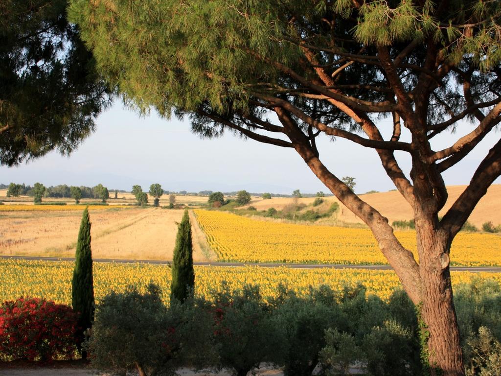 פונטבלנדה Agriturismo Peretti מראה חיצוני תמונה