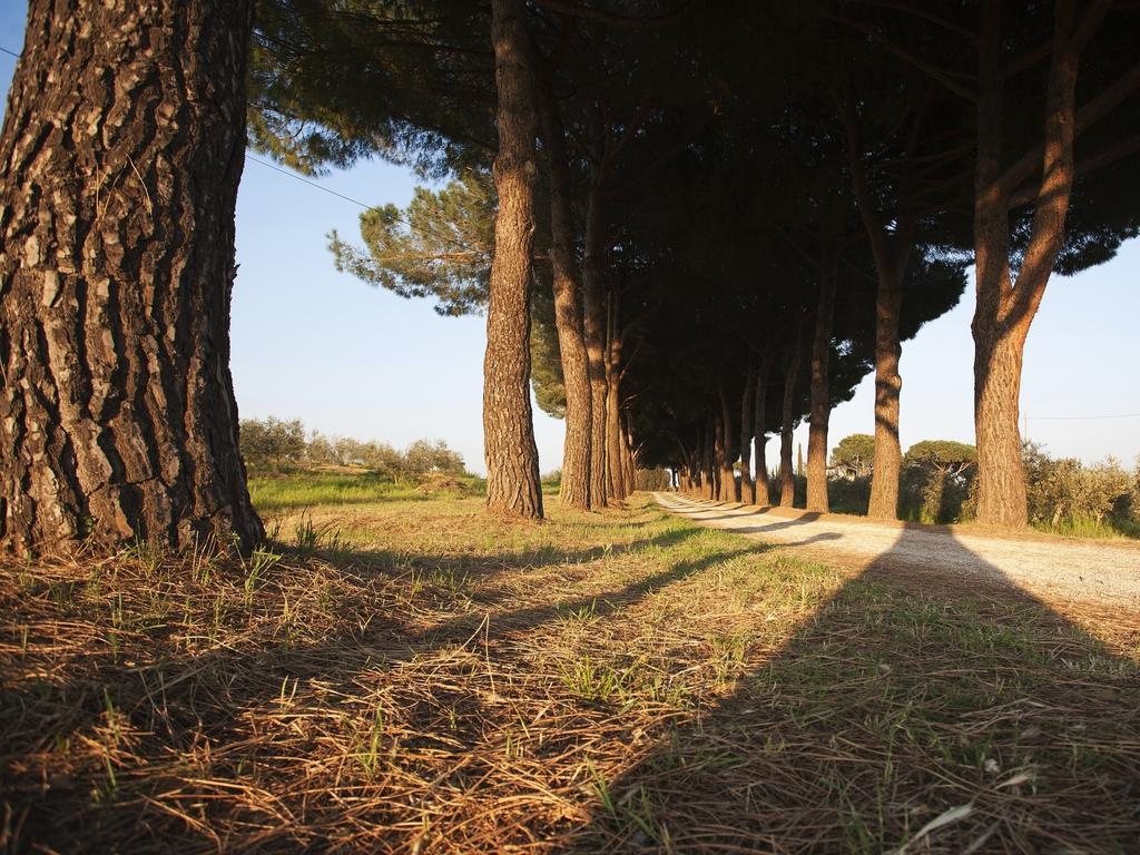 פונטבלנדה Agriturismo Peretti מראה חיצוני תמונה